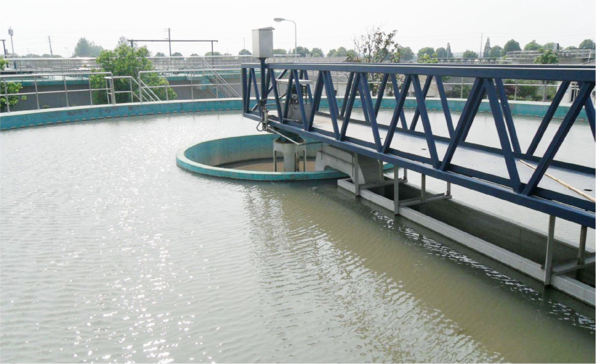 1646461830146550.jpg 1.jpg